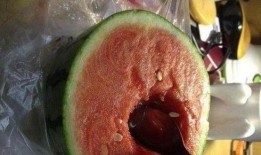 去医院吃瓜,一场别开生面的就医体验