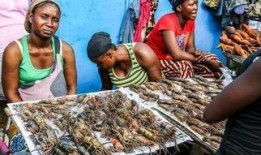 非洲人吃蜜瓜,蜜瓜美食之旅