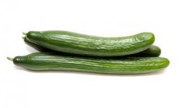 吃角瓜对人体危害,揭秘其潜在危害与注意事项