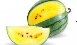 吃瓜必看的视频,一网打尽全网热议瞬间