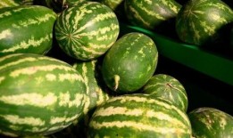 汾阳医院事件吃瓜,真相与争议的漩涡