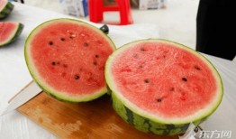 全国游玩吃瓜,畅游各地，品味人间烟火