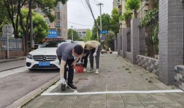 荆州最新吃瓜,揭秘当地美食背后的故事与传奇