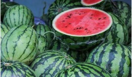 吃瓜吃一口,揭秘娱乐圈风云变幻