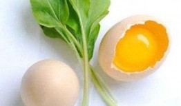 吊瓜吃鸡蛋行吗,创意烹饪新尝试