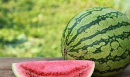 吃瓜的瓜怎么找,揭秘网络流行语的奥秘