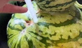 带你吃瓜搞笑视频合,搞笑视频合集大放送