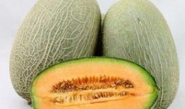 老姨吃哈密瓜,甜蜜回忆与味蕾之旅