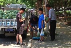 泊头吃瓜群众新闻,最新新闻事件深度解析