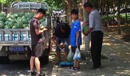 泊头吃瓜群众新闻,最新新闻事件深度解析