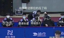 国乒集体吃瓜,揭秘赛场背后的欢乐时光