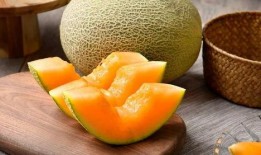 仓鼠吃哈密瓜声控,仓鼠的独特饮食体验