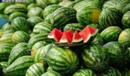 带你吃瓜7388,网络热梗背后的故事