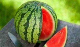 潍坊阳光一百吃瓜,揭秘吃瓜群众的欢乐盛宴