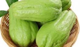 当菜吃的瓜有点佛手瓜,当菜吃的瓜，养生又美味