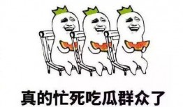 过度吃瓜违法吗,揭秘网络舆论的边界