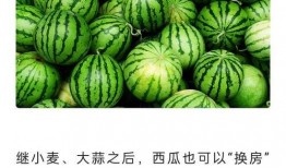 在线云吃瓜,畅享网络娱乐盛宴