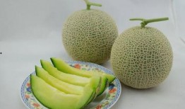 关于吃瓜的谚语,古往今来谚语中的吃瓜哲学