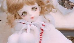 bjd月度吃瓜,一场别开生面的“吃瓜”盛宴