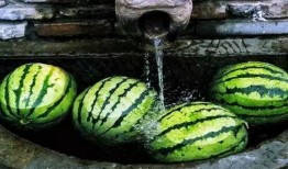 麦麦吃瓜了,揭秘娱乐圈最新热点事件