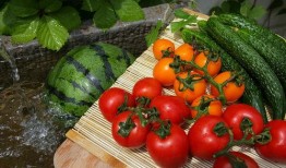 唐十八吃瓜9,揭秘宫廷秘闻的趣味解读