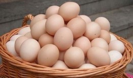 吊瓜吃鸡蛋行吗,创意烹饪新尝试