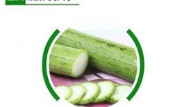 三胖吃瓜,揭秘娱乐圈的甜蜜与苦涩