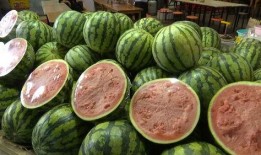 吃瓜自由小孩,揭秘新一代网络文化现象