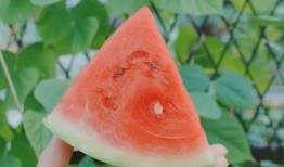 吃瓜升不升血糖,揭秘瓜类对血糖影响之谜