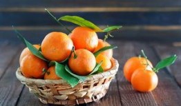 娱乐吃瓜橘子精,橘子精的吃瓜传奇