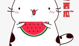 吃瓜动态素材下载,揭秘吃瓜群众的下载狂欢