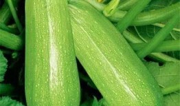 perrys 吃瓜,揭秘娱乐圈的甜蜜与苦涩