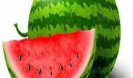 吃瓜七瓣,一场味蕾与文化的碰撞之旅