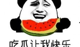 有瓜吃英文怎么写,Unveiling the Secrets: How 'There's a Melon to Be Had' Transforms into 'There's a Melon to Be Eaten' in English