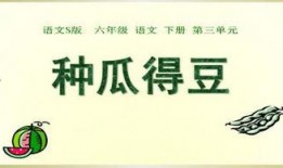 PPT吃瓜,从PPT吃瓜看职场文化现象解析