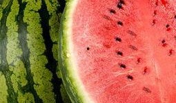 吃红瓜禁忌,食用禁忌须知