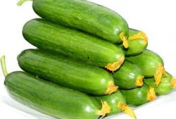 橙色吃瓜头像男,揭秘橙色吃瓜头像背后的故事