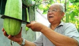 吃瓜离婚被砍,悲剧背后的社会反思