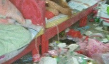 女生宿舍吃瓜事件,揭秘校园生活幕后真相