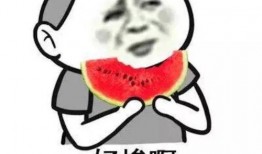 贵妃吃瓜文案句子图片,宫廷风趣一幕