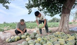 正在吃瓜中,揭秘娱乐圈那些鲜为人知的幕后故事