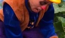 光头强吃瓜图片,揭秘娱乐圈幕后风云