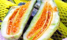 在线云吃瓜,畅享网络娱乐盛宴