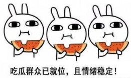 吃瓜抱抱酱,揭秘娱乐圈的甜蜜与苦涩