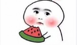 啥子是吃瓜群众