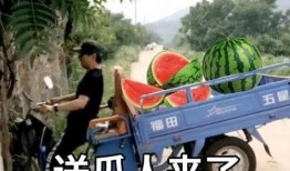 带你吃瓜狂飙,带你领略“带你吃瓜狂飙”的独特魅力