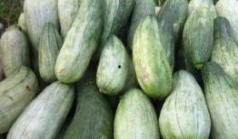 嫩瓜可以怎么吃