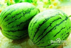 吃西瓜好还是吃哈密瓜,西瓜与哈密瓜，谁更胜一筹？