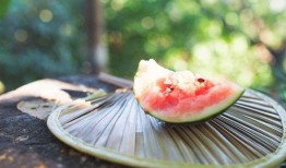 今日吃瓜在线吃瓜入口,在线吃瓜入口，揭秘娱乐圈幕后风云