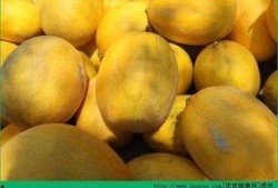 哈密瓜吃的卡路里,健康美味两不误